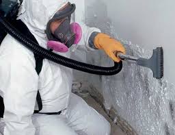 Best Environmental Consulting for Mold Prevention  in Homewood, IL